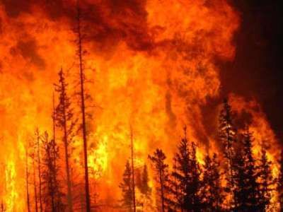 Лесной пожар в Бурятии. Фото: Вконтакте