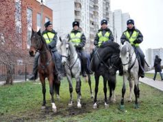 Полиция на лошадях. Фото: autokadabra.ru