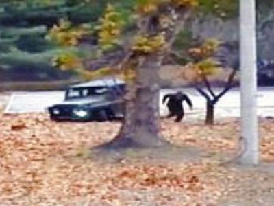 Побег северокорейского военного на Юг, 13.11.17. Скрин видео: www.youtube.com/watch?v=AUIKDwDmUoU