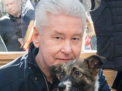Собянин и собака. Источник: social.tvc.ru
