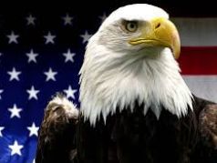 Флаг США и орлан с герба. Иллюстрация: www.zmescience.com